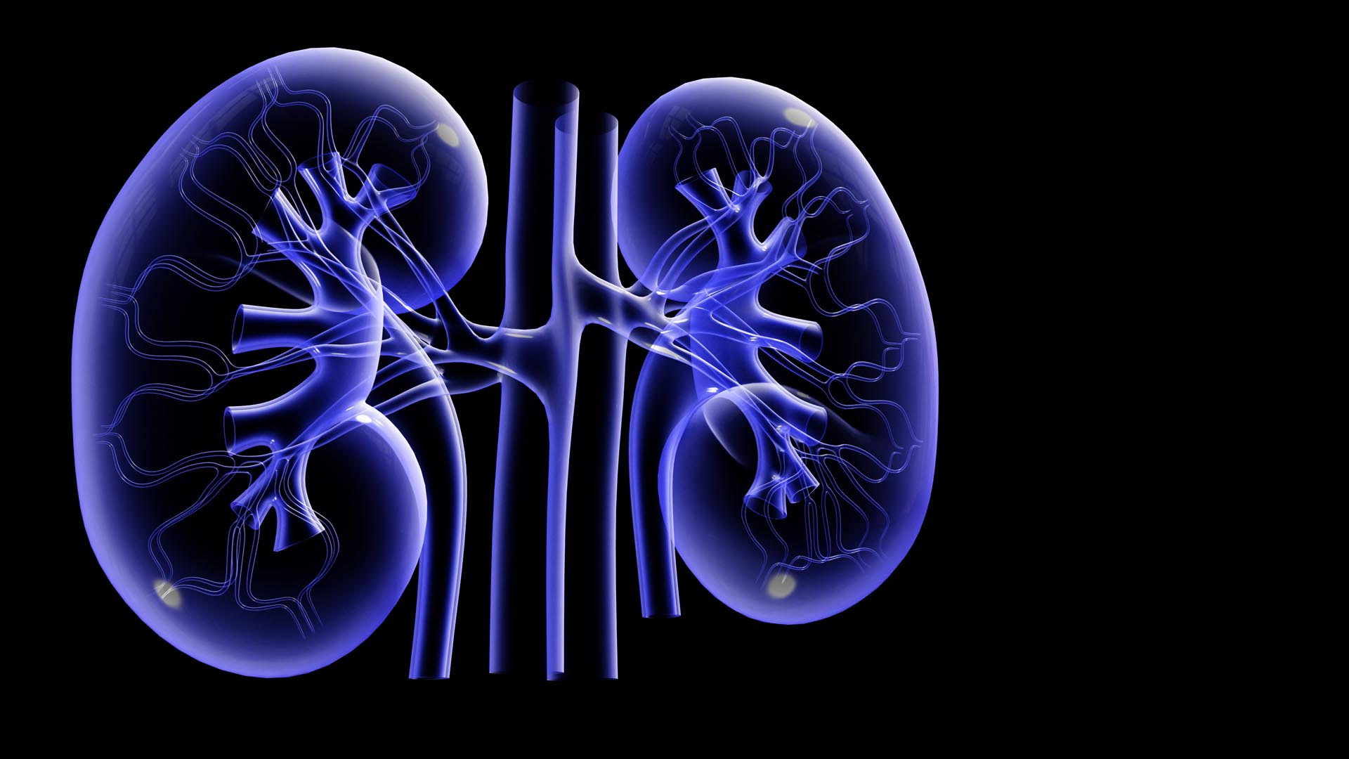 Kidney Doctor in Pune