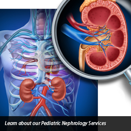 Kidney Treatment in Pune