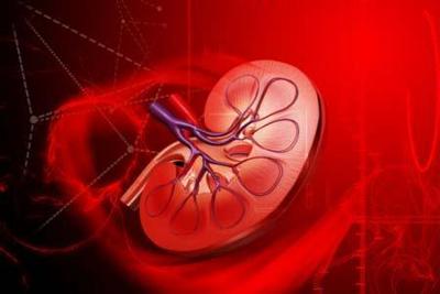 Nephrologist in Pune